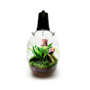 Vase intelligent électronique de bureau 3-en-1 avec lumière <span class=keywords><strong>LED</strong></span> pour culture de plantes, idéal pour la maison, le bureau, la suspension murale et le jardinage en petits espaces - Product Image 1
