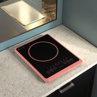 Cuisinière à induction carrée simple, brûleur unique, manuelle, pour camping-car, compatible hotpot, portable, économique en énergie
