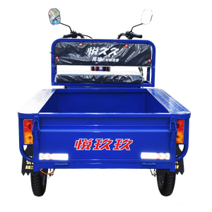 Vente chaude 1.25M électrique Cargo Tricycle fabricant personnalisation 3 roues véhicule électrique pour le fret - Product Image 3