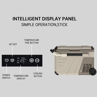 Refrigerador eléctrico de 35L, 12V, 24V, para camping, compresor, congelador, coche, nevera