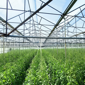 Película de invernadero para cultivo general de alta calidad que mantiene la temperatura y la humedad estables, gran oferta - Product Image 1