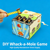 Jouet éducatif scientifique pour enfants, expérience créative et amusante, bricolage manuel, jeu de tape-taupe en bois, certifié CE, non toxique, petite invention