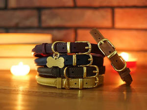 <span class=keywords><strong>Collar</strong></span> de cuero para perro, correa redonda duradera para perros, cachorros y gatos, Borgoña, multicolor a granel - Product Image 6