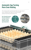 WONEGG Incubateur Portable Amélioré pour Poulets, Équipement d'Incubation Automatique pour 400 Œufs, Idéal pour l'Élevage