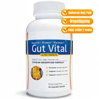 Compléments alimentaires pour adultes à base de zinc, de carnosine, de gingembre et de feuilles d'artichaut pour la santé intestinale et le bien-être digestif, capsules végétales naturelles
