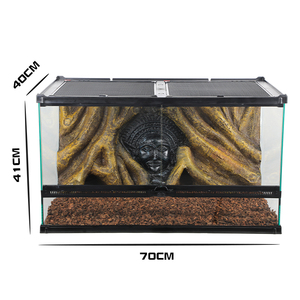 Terrarium à vue panoramique pour reptiles : un habitat idéal pour les animaux exotiques - Product Image 4