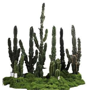<span class=keywords><strong>Cactus</strong></span> artificiel pour la décoration intérieure, mini <span class=keywords><strong>cactus</strong></span> <span class=keywords><strong>pas</strong></span> <span class=keywords><strong>cher</strong></span>, plante artificielle d'intérieur, pot extérieur, arbres artificiels d'extérieur, <span class=keywords><strong>cactus</strong></span> - Product Image 1