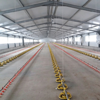Système d'alimentation automatique pour poulets en cage, ligne d'alimentation au sol, en PP vierge, équipement avicole pour élevages