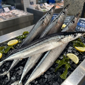 Saury Congelato Commerciale di Alta Qualità a Basso Prezzo, Pesce Fresco Congelato Vivo per Aziende Ittiche Europee - Product Image 1