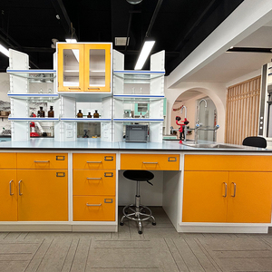 Bàn thí nghiệm hiện đại chất lượng cao, chống axit, dùng cho bệnh viện, trường họ<span class=keywords><strong>c</strong></span>, <span class=keywords><strong>c</strong></span>ó tủ, chất liệu thép kim loại. - Product Image 3