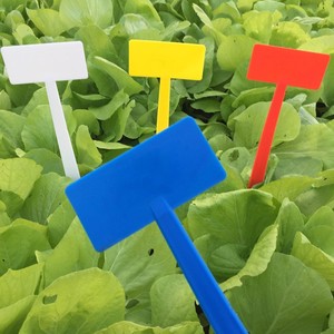 Étiquette de plante en plastique de grande taille, étiquette de nom de plante, étiquettes de marqueur de plante, piquets de <span class=keywords><strong>jardin</strong></span> de taille multiple pour outil de <span class=keywords><strong>jardin</strong></span> - Product Image 2