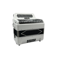 SEASOUND Accordéon Diatonique Professionnel 34 Boutons 12 Basses 3 Registers Blanc Mat Grille Noire Argentée Boutons OEM JB3412C Bois