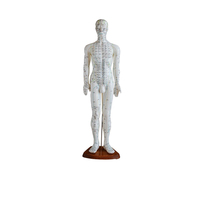 Offre Spéciale modèle d'acupuncture chinois 50cm modèle d'acupuncture masculine modèle d'acupuncture méridiens humains pour l'enseignement et l'apprentissage
