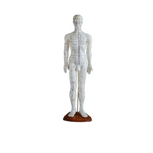 Offre Spéciale modèle d'<span class=keywords><strong>acupuncture</strong></span> chinois 50cm modèle d'<span class=keywords><strong>acupuncture</strong></span> masculine modèle d'<span class=keywords><strong>acupuncture</strong></span> méridiens humains pour l'enseignement et l'apprentissage - Product Image 3