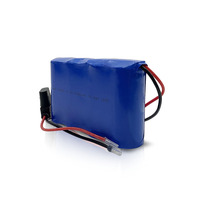 Batterie au phosphate de fer de lithium rechargeable 3,2 V 15 Ah, pack de batteries LiFePO4, batterie LiFePO4