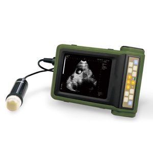 One Stop Medische Oplossing Echografie Instrument Paard Echografie Scanner Echografie Machine Voor Huisdier Zwangerschap Diagnose - Product Image 2