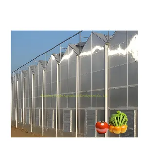 Low Cost Manufacturing Ideas NFT Hydroponic Growing Systems Intelligent Multi-Span PC Greenhouse