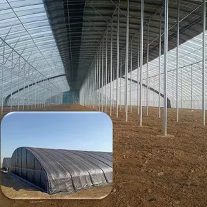 Sinlg span film plastique ventilation latérale petite serre agricole tropicale prix pour la culture fruitière