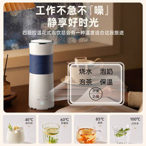 กาต้มน้ำไฟฟ้าพกพา AUX ขนาด 300 มล. พร้อมฟังก์ชั่นอุ่นร้อนและป้องกันการต้มจนแห้ง สำหรับการเดินทางและใช้ในบ้าน - Product Image 5