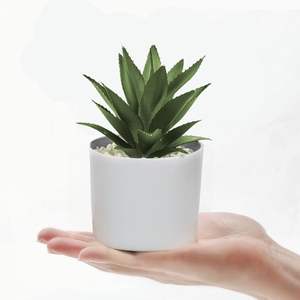 Bonsái <span class=keywords><strong>de</strong></span> plástico Artificial <span class=keywords><strong>de</strong></span> PVC ecológico moderno, plantas verdes, decoración en maceta suculenta mixta, 1-2L, no recubierto, para el hogar y la Oficina - Product Image 5