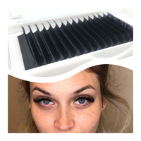 Bulu Mata Palsu Grosir Individual CD Curl Easy Fan Matte Natural Panjang Super Lembut Tekstur Alami Hitam