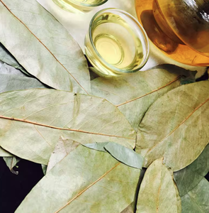 Venta al por Mayor <span class=keywords><strong>de</strong></span> Hojas <span class=keywords><strong>de</strong></span> Guanábana Naturales <span class=keywords><strong>de</strong></span> Alta Calidad y Té <span class=keywords><strong>de</strong></span> Hoja <span class=keywords><strong>de</strong></span> Durian Roja Seca - Product Image 2