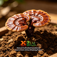 Poudre d'extrait de Ganoderma Lucidum Reishi |   ZEAL Brand Nutrition Enhancers Antioxydants 10%-50% Polysaccharides 1%-10% Triterpènes