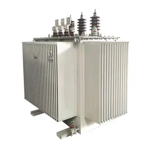 High Voltage Three-phase Oil-immersed Power Transformer transformer 110v 220v HV Transformers