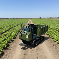 Vente directe d'usine, mini-transporteur sur chenilles, benne basculante auto-chargeante de 1 tonne pour la construction de jardins
