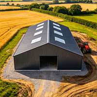 Estructuras de Acero de Diseño de Buena Calidad, Naves Industriales Prefabricadas de Acero, Construcción de Almacenes de Acero
