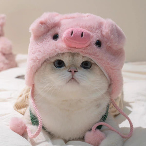 Chapeau en laine transfrontalier pour animaux de compagnie, motif dessin animé, costume en peluche pour chiens et chats, accessoire photo mignon, coiffe originale - Product Image 1