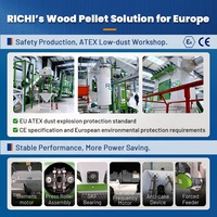 Planta de Pellets de Madera de Alta Eficiencia Energética RICHI 5 T/H Finlandia, Línea Profesional de Pellets de Biomasa con Gran Capacidad y Soporte en Línea