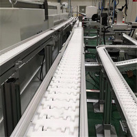 Convoyeur à chaîne en plastique flexible de qualité alimentaire pour l'industrie de la boulangerie et de la transformation de collations