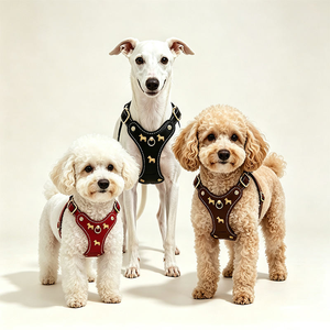 Customized Elegant and Luxury Soft Leather DLY Dog <b>Harness</b> with Cute Buckle and Leash Set Luxury Pet Chest Accessories - Product Image 1