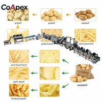 CoApex Source Factory Automatische 300-500kg/u Industriële Fritesfabriek Voedselveilige 304 RVS voor Fruitverwerking