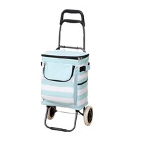 Chariot de courses pliable d'extérieur, type autoportant, avec poche isotherme, multifonctionnel, peu encombrant, portable, pour les courses alimentaires