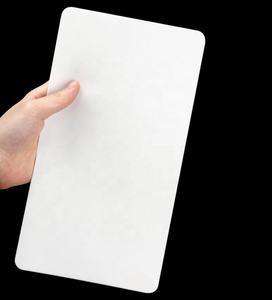 Etiqueta privada tatuaje falso piel Color blanco Microblading práctica pieles 16*15 2mm silicona doble cara ceja Pmu entrenamiento - Product Image 4