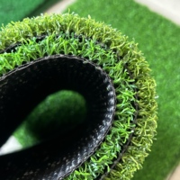 Terrain de golf miniature en gazon artificiel pour le jardin, pour le divertissement familial, conception de paysage DIY
