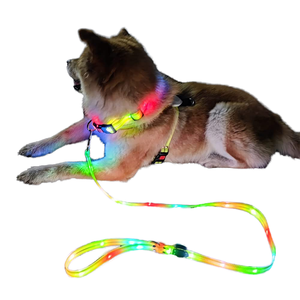 Correa y <span class=keywords><strong>Collar</strong></span> LED para Perro, Luminoso, Impermeable, Fácil de Limpiar, Recargable, Duradero, de Nailon, Ecológico, para Exteriores - Product Image 1