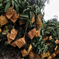 Sac de protection personnalisé pour fruits, emballage en papier, filet de protection pour goyave, banane, mangue avec trou d'aération