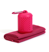Serviette rafraîchissante instantanée avec étui en silicone, serviette de sport respirante en nid d'abeille pour la gym et le yoga, serviette absorbante en microfibre à séchage rapide
