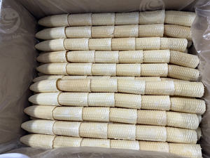 Linea di Produzione <span class=keywords><strong>Coni</strong></span> Wafer a Forma di Mais Macchina per Formatura <span class=keywords><strong>Coni</strong></span> Gelato | Macchina per la Produzione e la Cottura di <span class=keywords><strong>Coni</strong></span> Gelato - Product Image 4