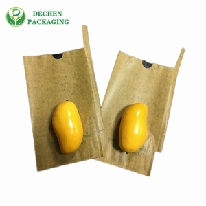 High Quality Mango Paper Bag with Best Mango Bagging - Efficient & Reliable High Quality Mango Paper Bag with Best Mango Bagging - Efficient & Reliable