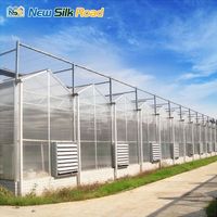 Kit de serre hydroponique pour tomates de grande taille Nsr Commercial Venlo Multi-Span en polycarbonate (plaque PC) pour l'agriculture