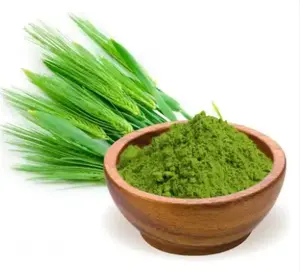 Nutrition Enhanced Stevia Barley Grass Powder Sugar-Free Food Additives Mixed OEM Service