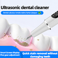 Nettoyeur dentaire ultrasonique XBH 800mAH IPX6 avec détartreur, blanchiment des dents pour usage domestique, kit de nettoyage des dents pour chiens