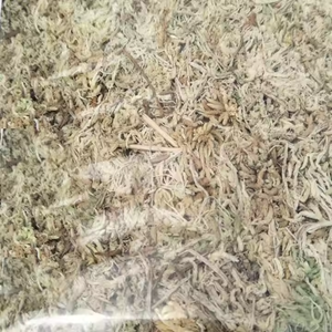 Decoratief Natuurlijk Gedroogd Rendier Mos Gedroogd Veenmos In Verschillende Hoeveelheden Transporteerbaar - Product Image 4