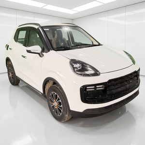 SUV compact électrique blanc 5 places automatique phares LED R16 voiture d'occasion - Product Image 1