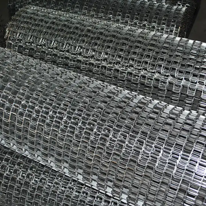 स्टेनलेस स्टील महान दीवार जाल बेल्ट फूड कन्वेयर हॉर्सेश चेन जाल बेल्ट औद्योगिक कन्वेयर माल परिवहन के लिए - Product Image 6