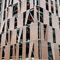 Panneau d'aluminium perforé pour revêtement de façade, thermolaqué, ignifuge, pour bâtiments commerciaux et murs extérieurs de bureaux